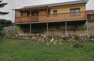 Modulový dům 12 x 4,2 s fasádou